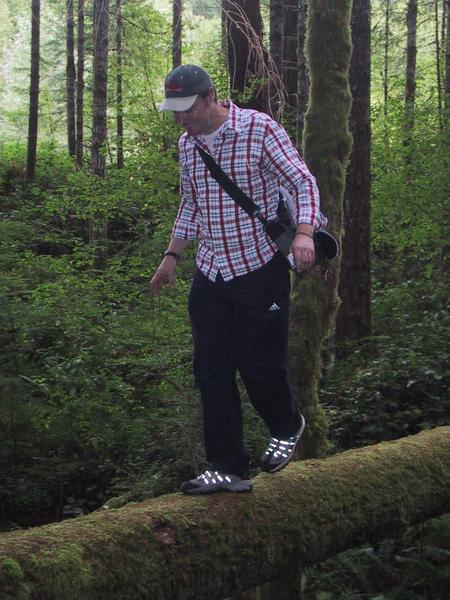 Dave Balancing, Coming Back