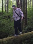 Dave Balancing, Coming Back