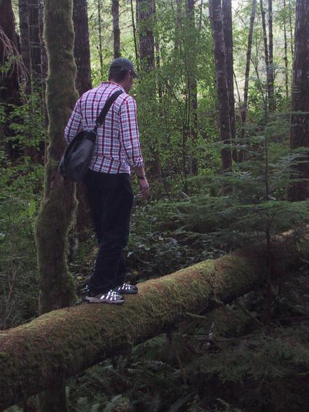Dave Balancing, On His Way