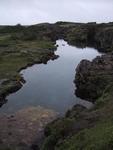 Clear Pond