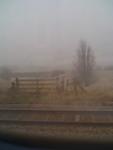 It's Grim in the North
