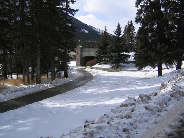 Bow River Trail to Bow Ave.