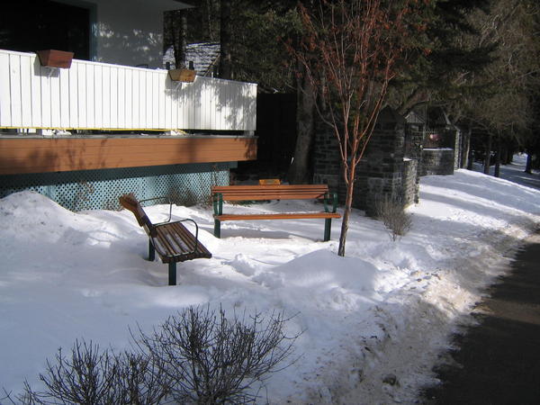 Benches by The Royal Canadian Legion