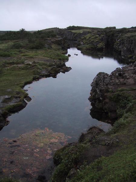 Clear Pond