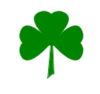 Shamrock