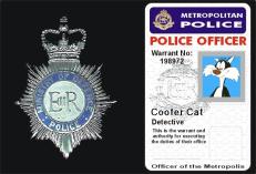 Warrant Card